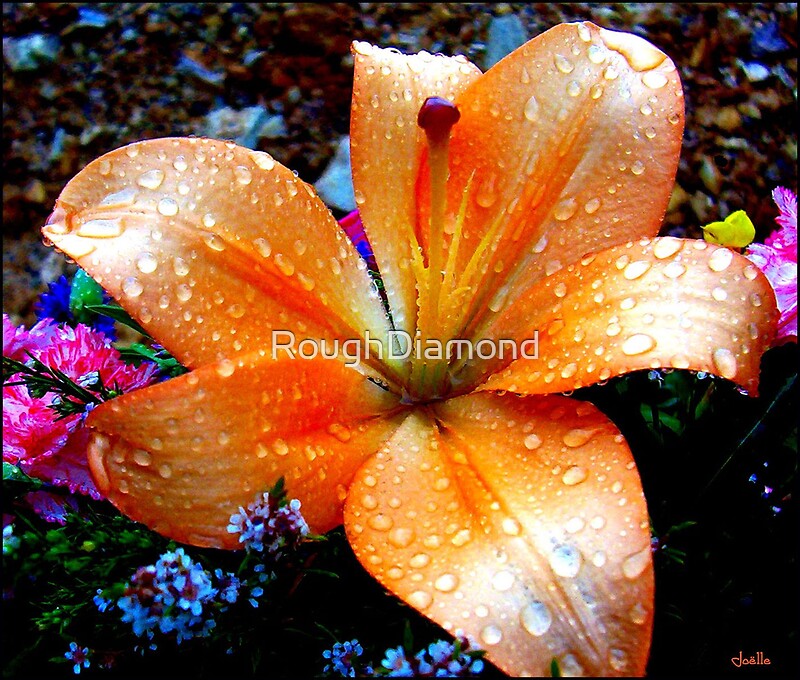 "Death Lily" by RoughDiamond Redbubble