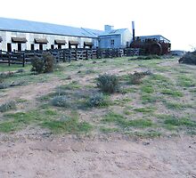 Kincheca Shearing Shed by WiseArt