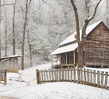 Tipton in winter by dc witmer