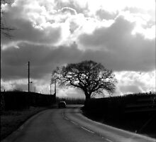 A road less travelled by gothgirl