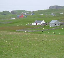 Fair Isle by Fiona MacNab