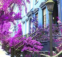 Purple Haze by Ezza