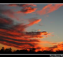 the hand of God by David Edwards