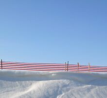 Reality of Winter Snow by Larry Llewellyn