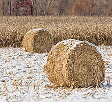 Snowy Cornstalk Bales by Kenneth Keifer