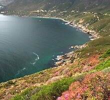 The Fairest Cape #'3 by Sharon Bishop