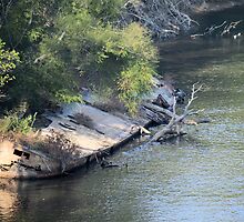 The Wreck by William Helms