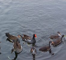 A Family Affair, two by Junebug60