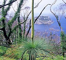 Grasstree and South-east Point by Travis Easton