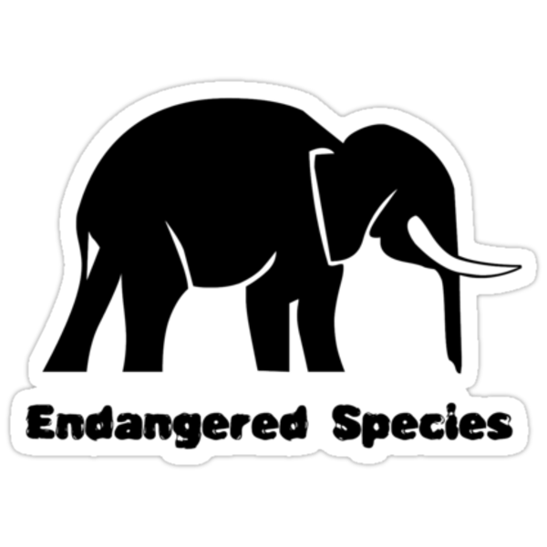 "Endangered Species Elephant" Stickers by Ryan Houston | Redbubble