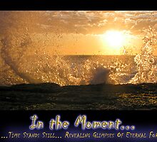 In the Moment - an eagle rises out of the sea by wondawe