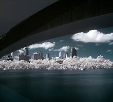 Bridge To Where? by Matthew Stewart