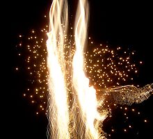 Dancing Fireworks by Trenton Purdy