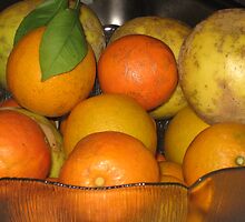 Citrus by Mary Kaderabek-Aleckson