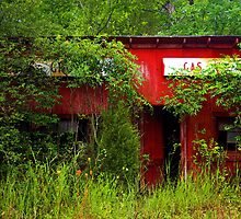 Gene's Grocery by Lisa G. Putman