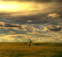 The Sky Surrounds by engride