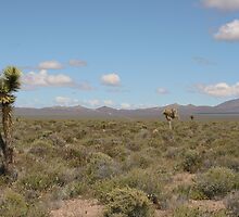 Tikaboo Valley, NV by Chris Clarke