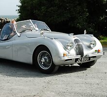 Jaguar XK120 Roadster Ulster by ragman