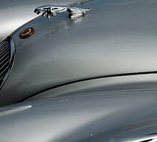 Jaguar XK 120 Roadster frontispiece side view by ragman