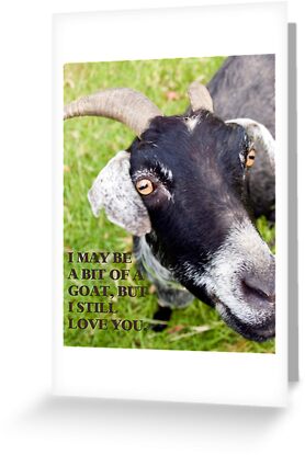 "Goat Valentines Card" Greeting Cards by AngRick | Redbubble