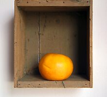 Grapefruit by Ed Zabel