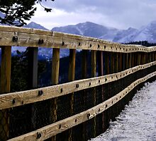 Road Less Travelled by Chad Smith