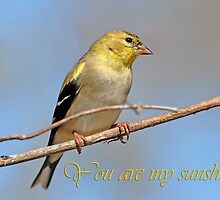 You are my sunshine by Bonnie T. Barry