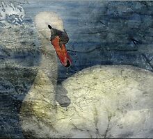 Winter Swan by Crista Peacey