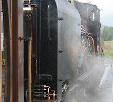 NG143 Locomotive Through the Steam by Larry149