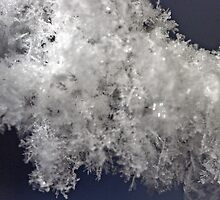 Snow World by Judson Joyce