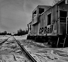 Out to pasture by justimagine
