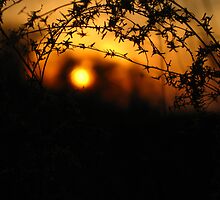 Oblivion by Manas Karekar