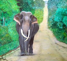 Elipant Sri Lanka by nilantha77