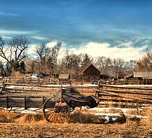 Old Wagon by Stevej46