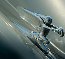 S I L V E R S U R F E R by Jeffrey S. Rease