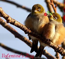 Happy Valentine's Day - Silvereye - NZ by AndreaEL
