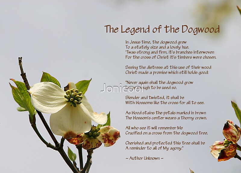 "Legend of the Dogwood" by Jonicool Redbubble