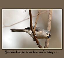 Just checking in . . . by Bonnie T. Barry