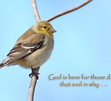 God is here for those days that end in why . . . by Bonnie T. Barry