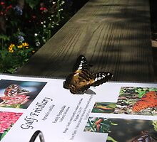 Are You Reading About Me.. by Judy Gayle Waller
