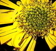 Reality Only Comes When The Sun Appears by Greta McLaughlin