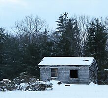 winter desolation by aathomas
