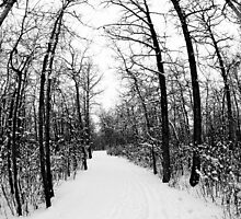 Winter Footpath by gresl