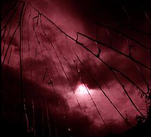 In The Place Of Anger by Lea Henning