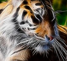 Waiting by Shannon Beauford