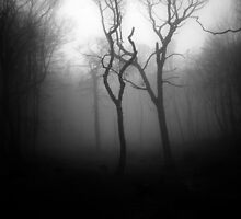OLD SOULS by Redtempa