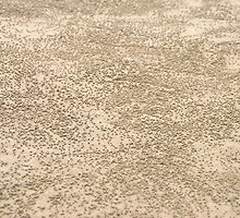 More Sand Balls ............... Thousands More! by Michael Norris