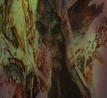 Into the Inferno by Jason Lee Jodoin
