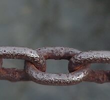 missing link by Lisa Bianchi