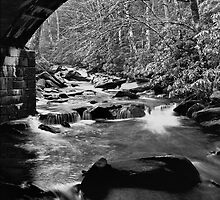 Bridge Over Troubled Water 1 by David Lampkins